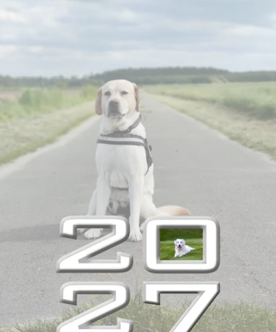 Capa Calendário de parede 2027 | UnigrafPrint