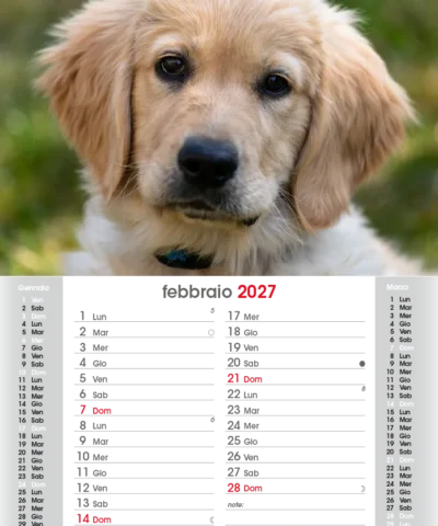 Mês de fevereiro Calendário de parede 2027 | UnigrafPrint